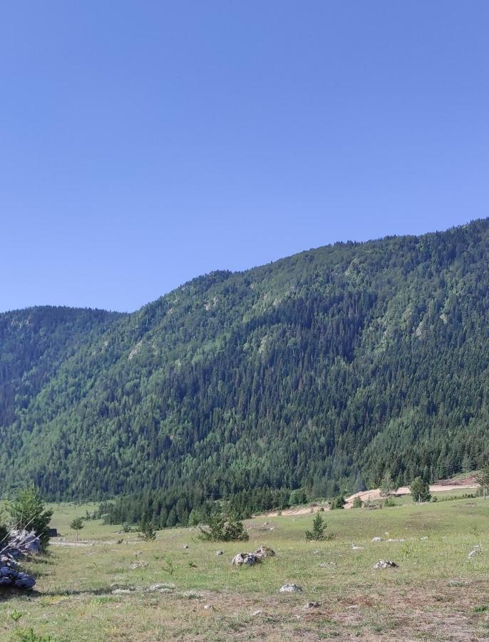 Mountain Peace Cottage Žabljak Esterno foto